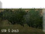 Imagen de descarga